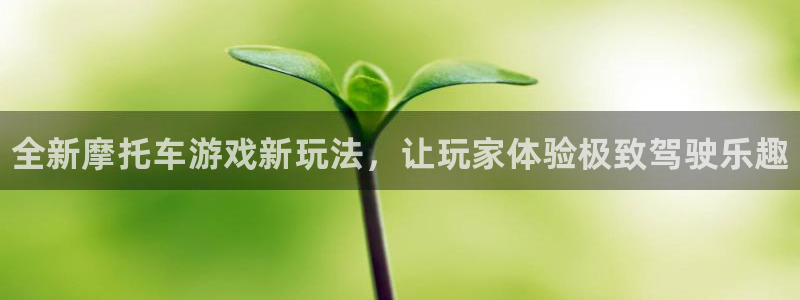 手机版赢咖娱乐客户端下载：全新摩托车游戏新玩法，让玩家体验极