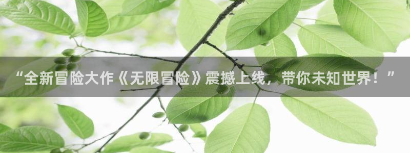 手机版赢咖娱乐客户端下载：“全新冒险大作《无限冒险》震撼上线