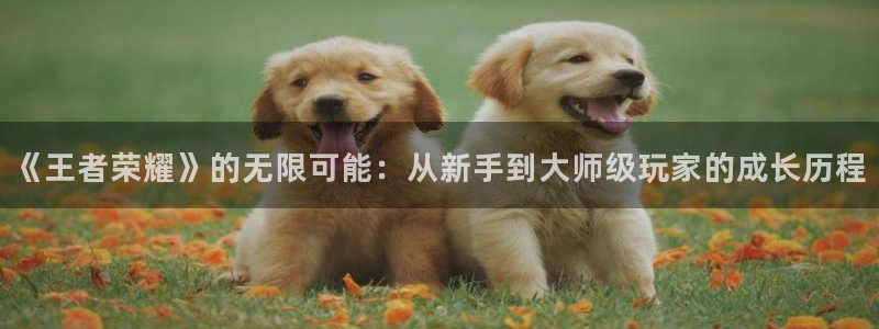 赢咖娱乐网址官网：《王者荣耀》的无限可能：从新手到大师级玩家