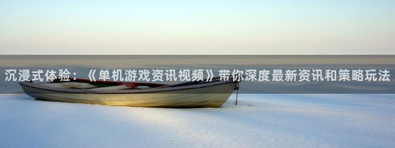 赢咖娱乐直属：沉浸式体验：《单机游戏资讯视频》带你深度最新资