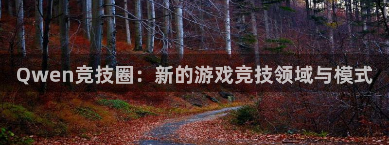 赢咖娱乐的意思：Qwen竞技圈：新的游戏竞技领域与模式