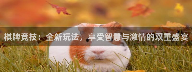 赢咖娱乐平台注册：棋牌竞技：全新玩法，享受智慧与激情的双重盛