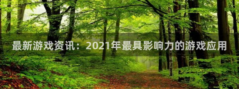 赢咖娱乐平台登录入口：最新游戏资讯：2021年最具影响力的游