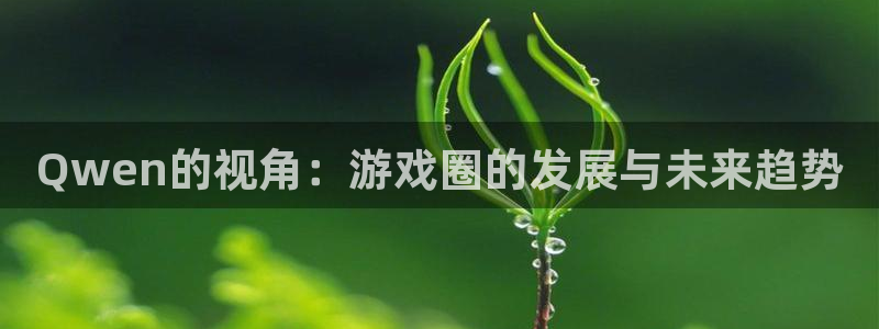 赢咖娱乐平台官网客服电话：Qwen的视角：游戏圈的发展与未来