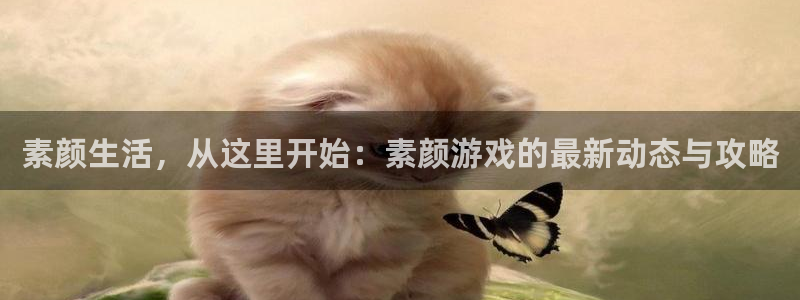 赢咖6登陆
