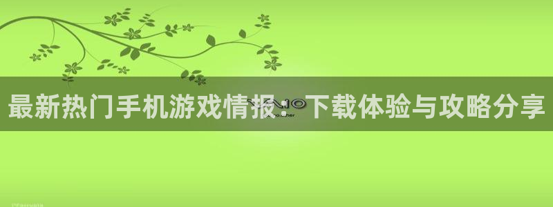 赢咖系列平台有那些