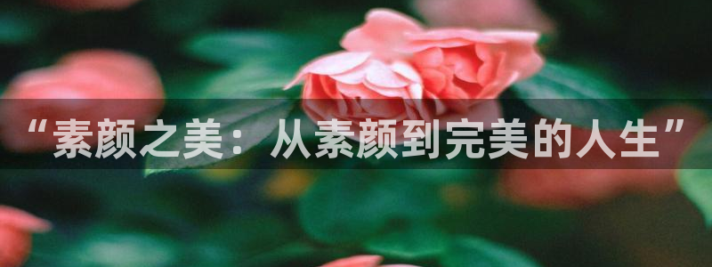 赢咖官方网站