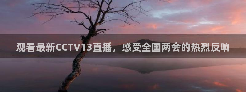 so米体育官网下载：观看最新CCTV13直播，感受全国两会的热烈反响