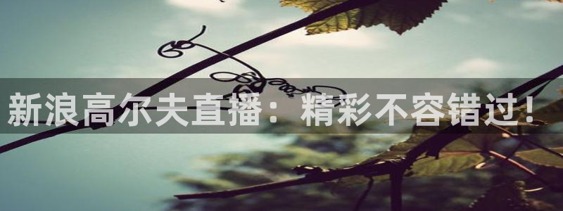免费足球直播 so米：新浪高尔夫直播：精彩不容错过！