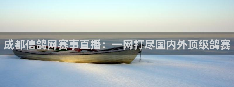 so米体育在线直播足球直播：成都信鸽网赛事直播：一网打尽国内外顶级鸽赛
