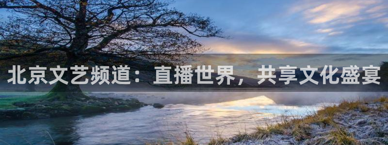 so米直播体育平台直播：北京文艺频道：直播世界，共享文化盛宴