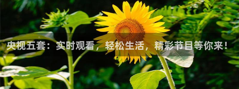 so米足球直播体育：央视五套：实时观看，轻松生活，精彩节目等你来！