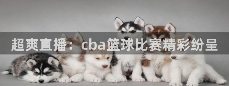 so米直播体育比赛：超爽直播：cba篮球比赛精彩纷呈