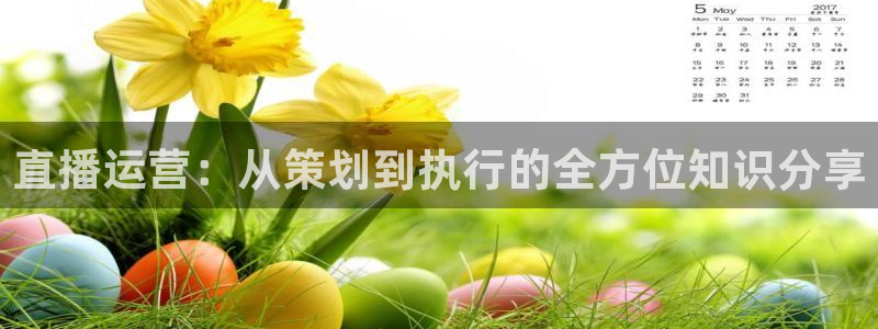 so米体育篮球直播在线：直播运营：从策划到执行的全方位知识分享