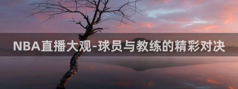 so米赛事直播：NBA直播大观-球员与教练的精彩对决