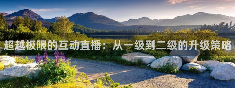 足球so米直播：超越极限的互动直播：从一级到二级的升级策略