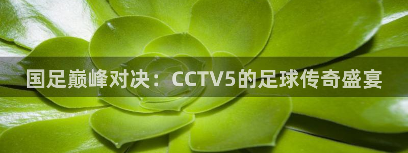 so米直播体育比赛：国足巅峰对决：CCTV5的足球传奇盛宴