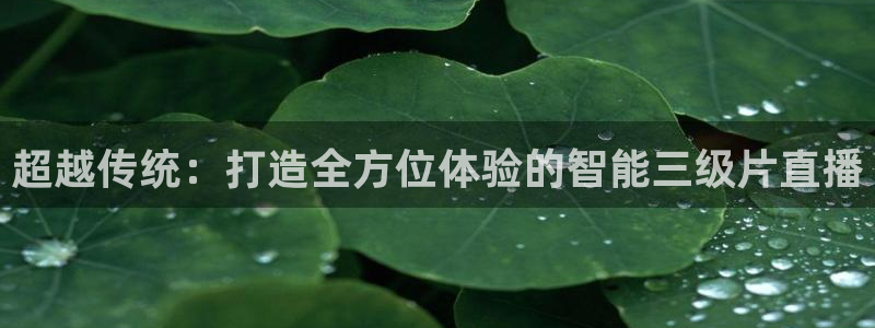 so米体育网页版：超越传统：打造全方位体验的智能三级片直播